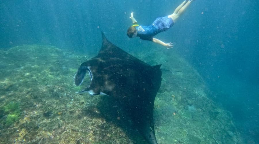 DCIM101GOPROGOPR4177.JPG